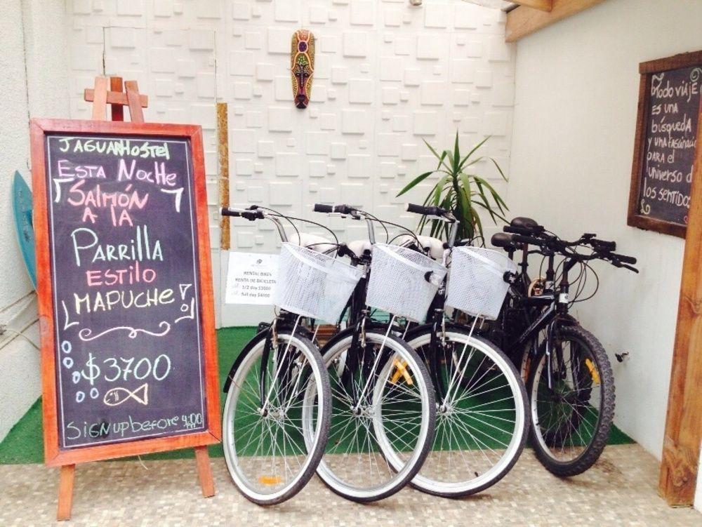 Hostel Jaguar וינה דל מר מראה חיצוני תמונה