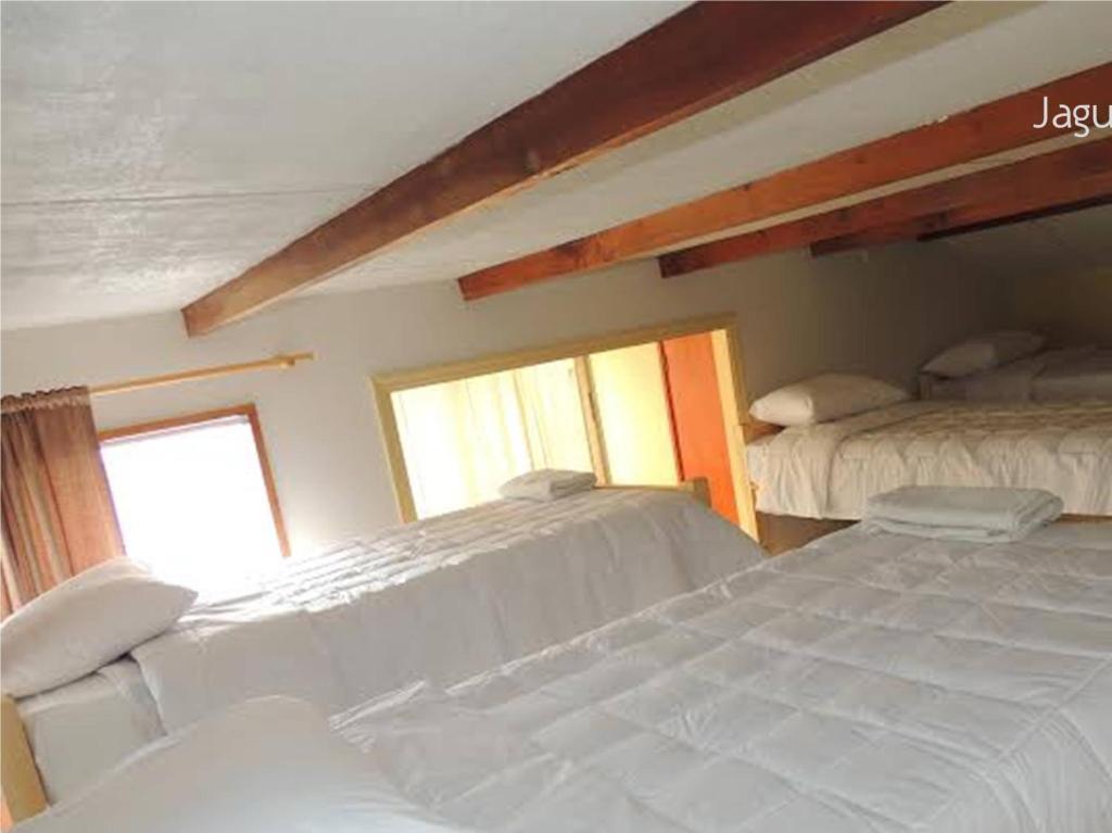 Hostel Jaguar וינה דל מר חדר תמונה